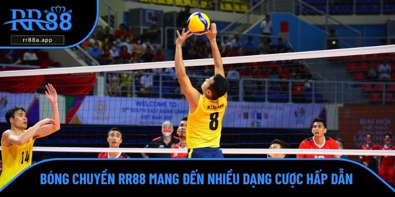Bóng chuyền RR88 mang đến nhiều dạng cược hấp dẫn