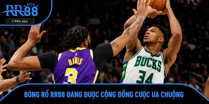 Bóng rổ RR88 đang được cộng đồng cược ưa chuộng