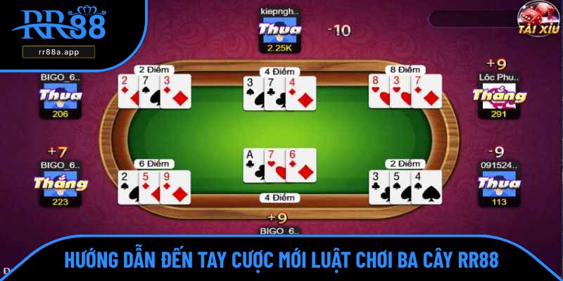 Hướng dẫn đến tay cược mới luật chơi ba cây RR88