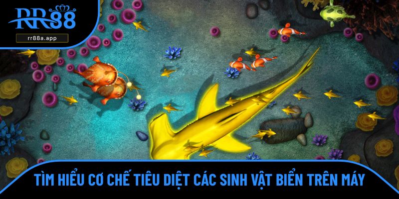 Tìm hiểu cơ chế tiêu diệt các sinh vật biển trên máy