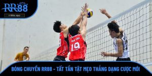 bóng chuyền RR88