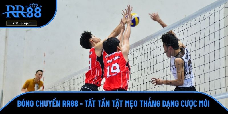 bóng chuyền RR88